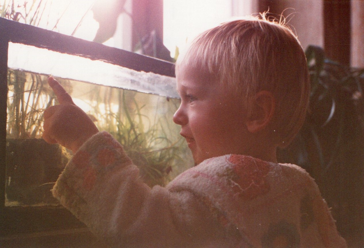 Kind zeigt auf Aquarium